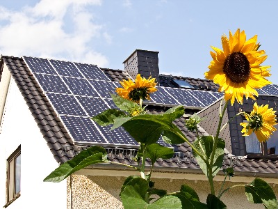 Ki igényelhet napelem támogatást?